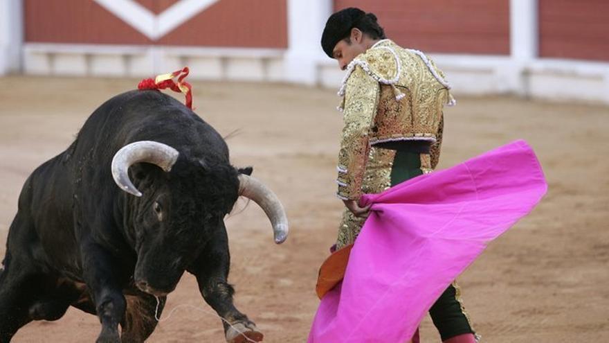 Ciudad de México abre el debate para prohibir las corridas de toros